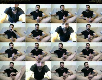 kingcat82