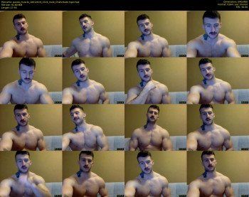 panda_muscle