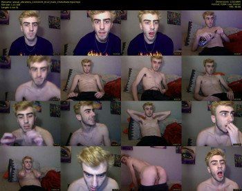 sexual_vibrations