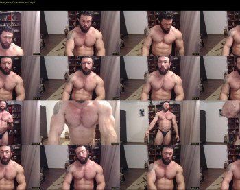 stevebulkzor