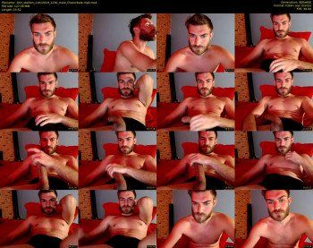 10in_stallion