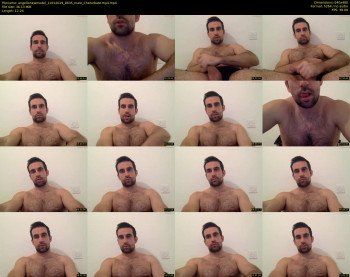 angellonewmodel