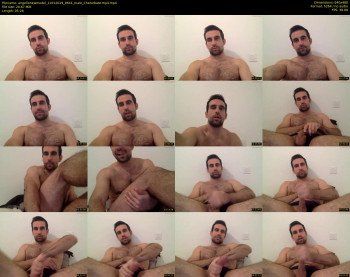 angellonewmodel