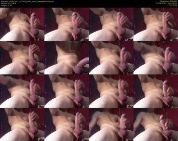 steffen861