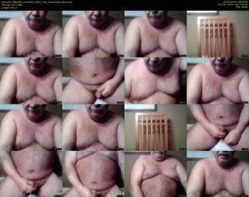 tbear66