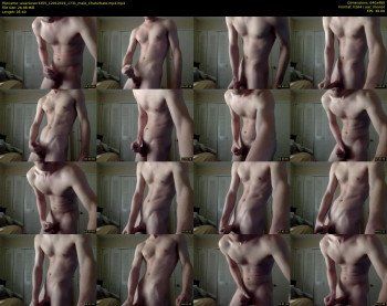 asianlover3355