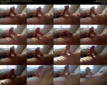 sexhibition