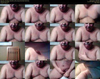 tbear66