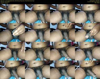 animal8dirty8cock8