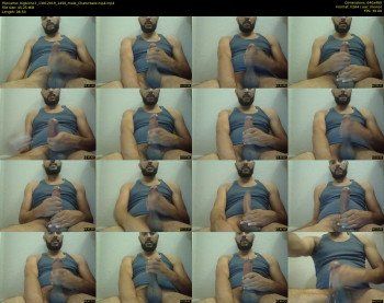 bigbicho7