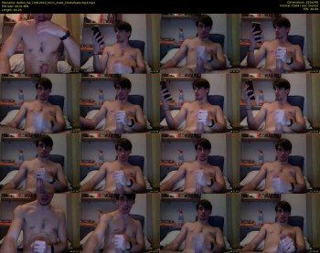 dalfox_94