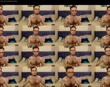 maxteddybear