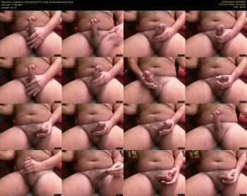 shybearx