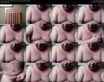 tbear66