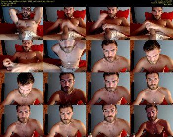 10in_stallion