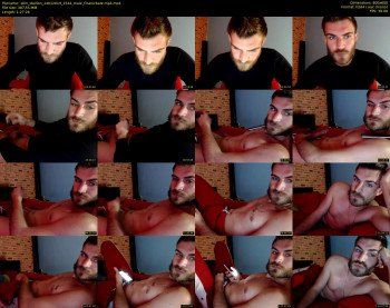 10in_stallion