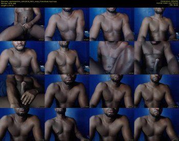 apollodarkmn