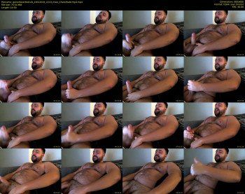 gainerbeardedcub