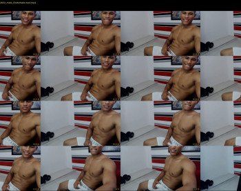 teddyfit19cm