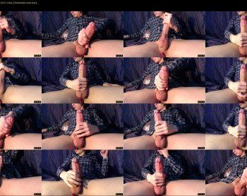 honeyxander