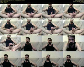kingcat82