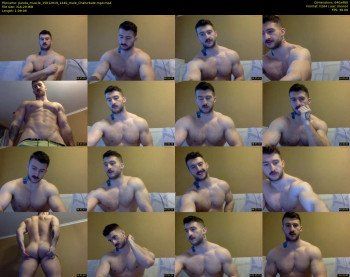 panda_muscle