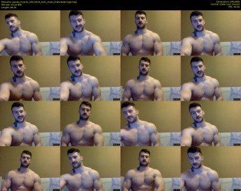 panda_muscle