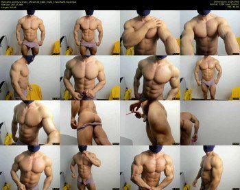 promuscles4u