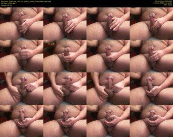 shybearx