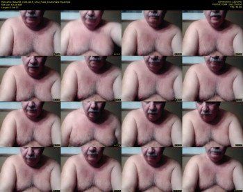 tbear66