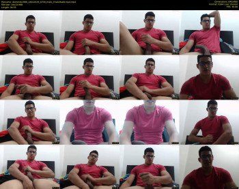 demente1996