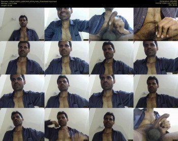 indian_cobra1