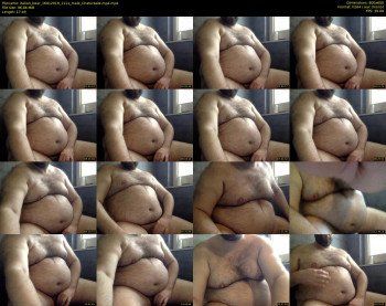 italian_bear