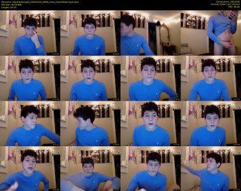 sharkboilavagirl