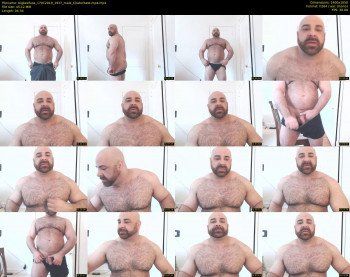 bigbeefusa