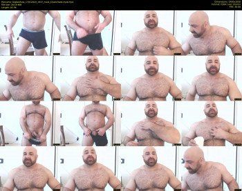 bigbeefusa
