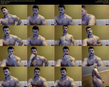 panda_muscle