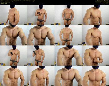 promuscles4u