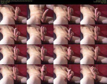 steffen861