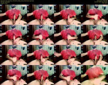 the_l1bertine