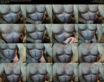 furrybear2