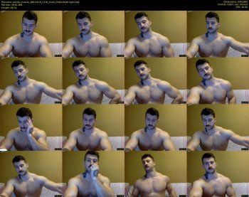 panda_muscle