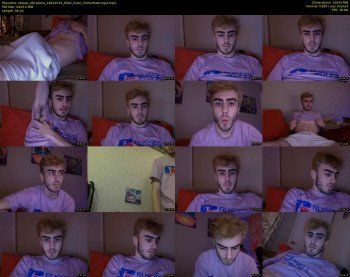sexual_vibrations