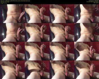 steffen861