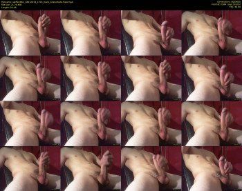 steffen861