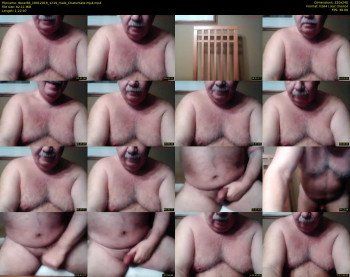 tbear66