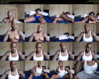 adonisboss