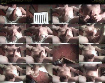 elwe_votes
