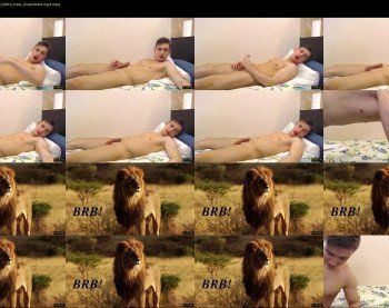 mark_lionhard