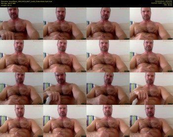musclbear